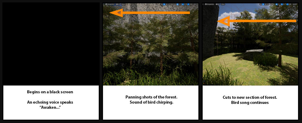 Storyboard - Showing the undisturbed area of the forest.